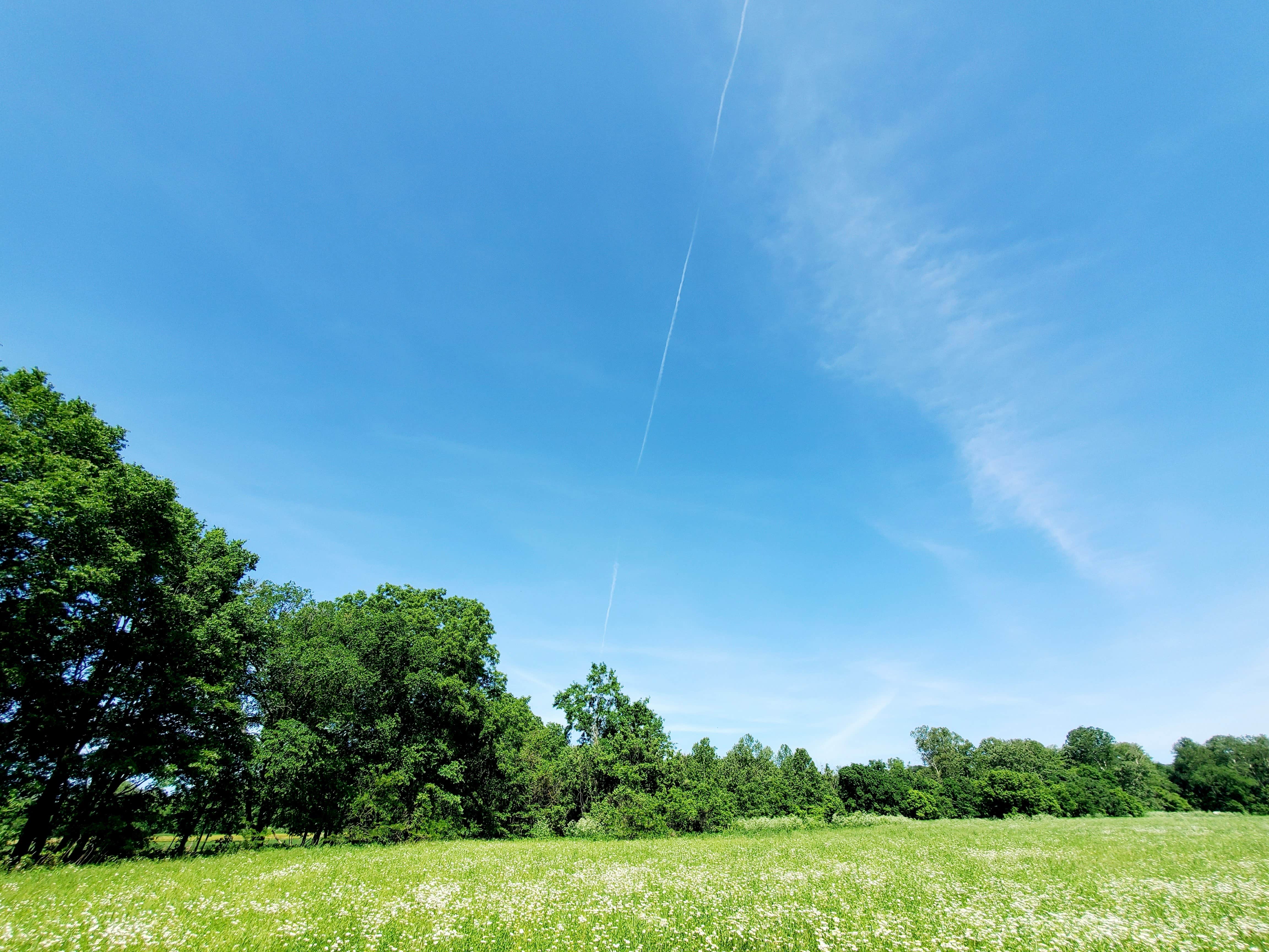 Camper-submitted photo at Swan Creek near Rockaway Beach, MO