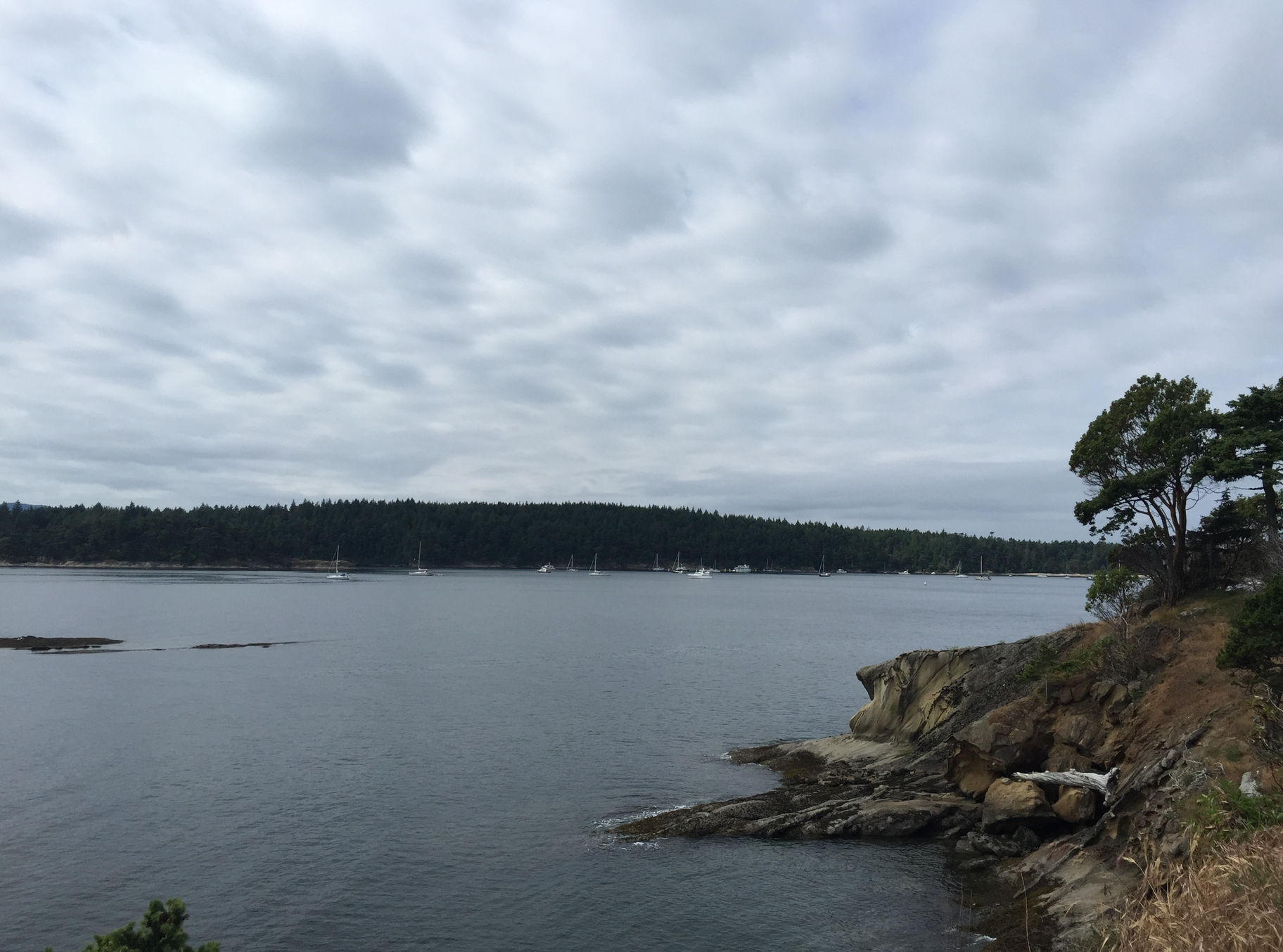 Camper submitted image from Sucia Island Marine State Park Campground - 2