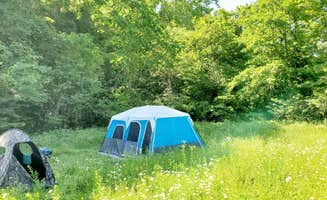 David L.'s photo of tent camping at Swan Creek near Ozark, MO