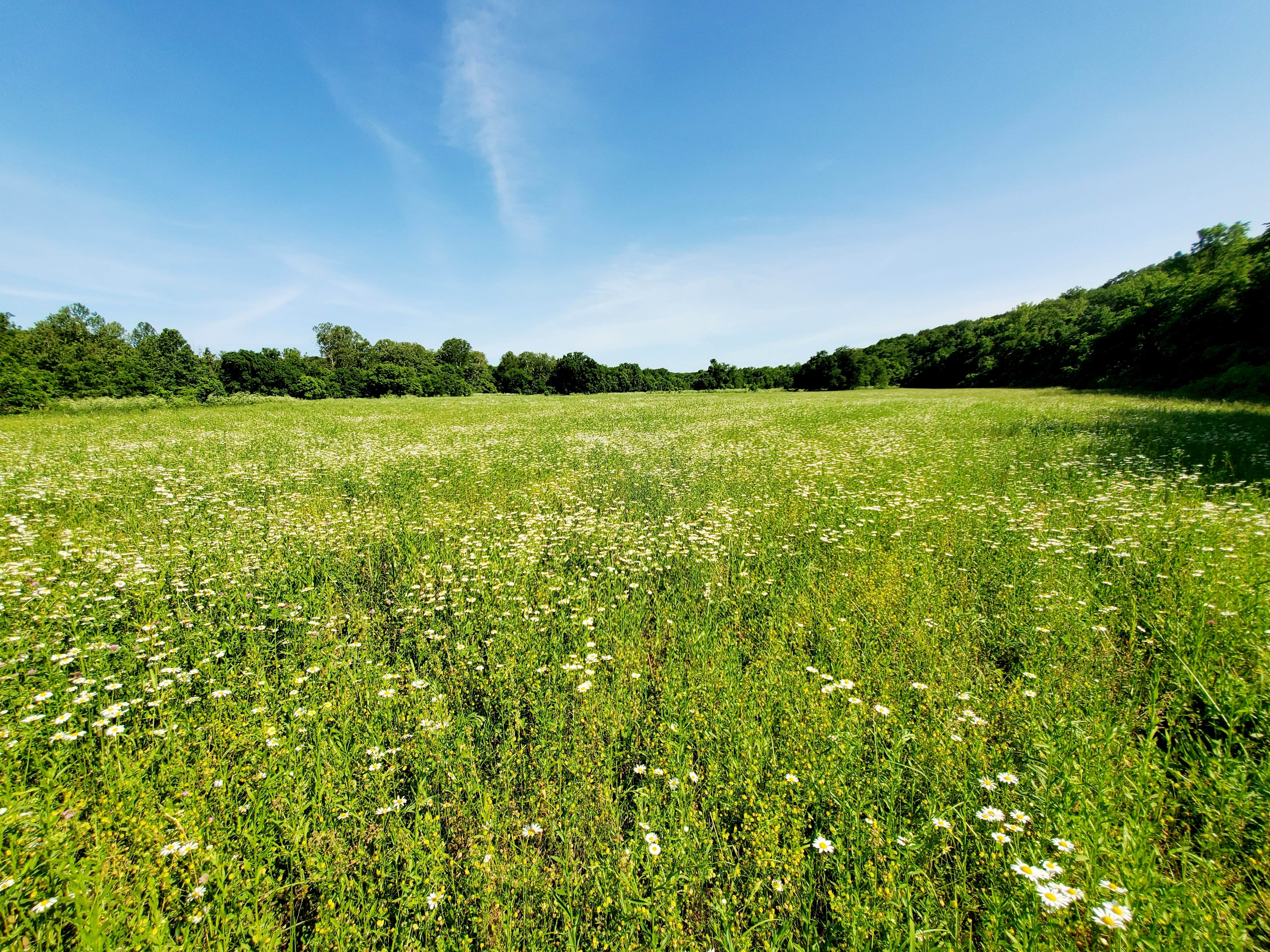 Camper-submitted photo at Swan Creek near Rockaway Beach, MO