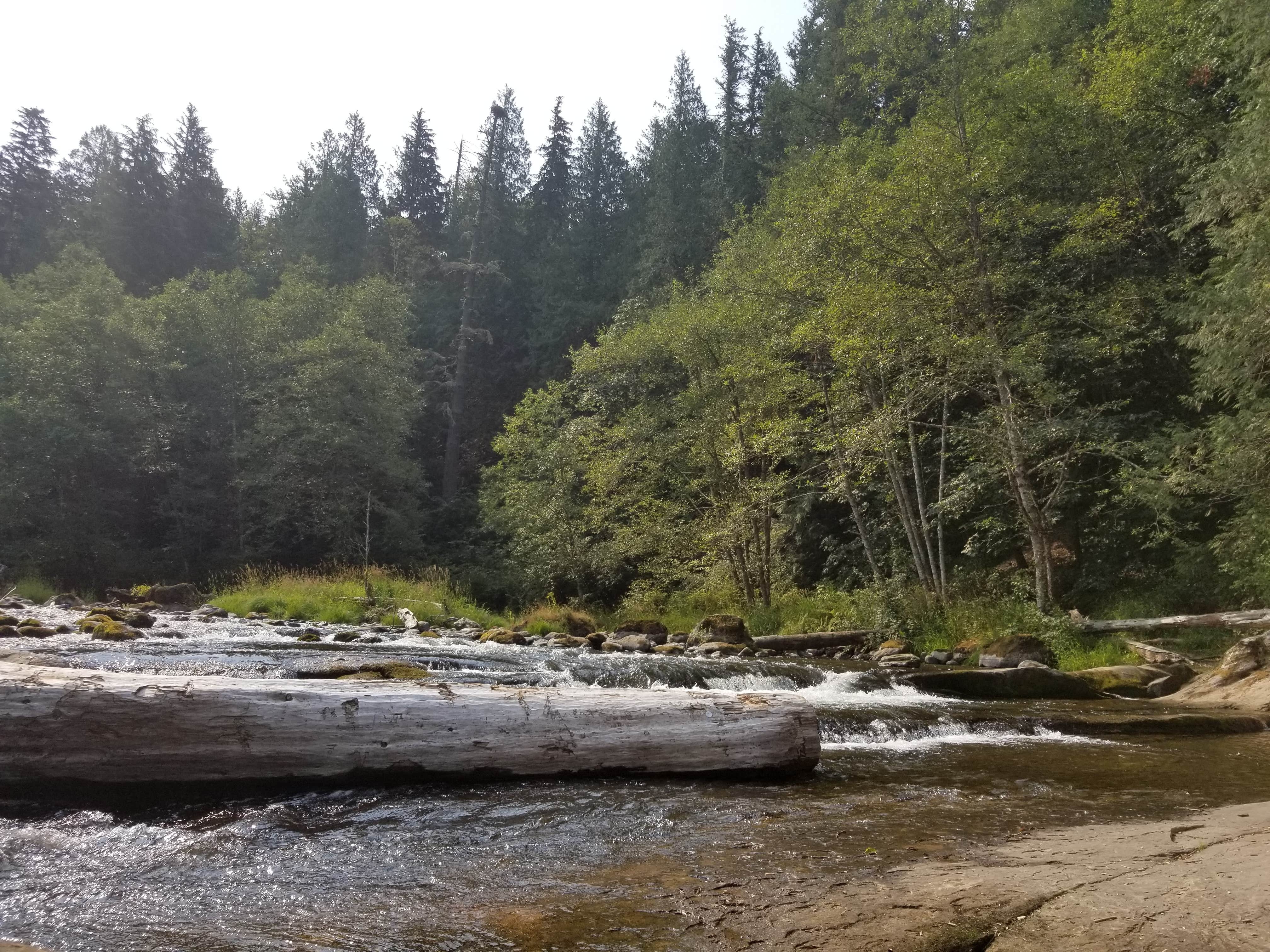 Nature