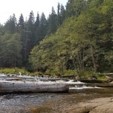 Review photo of Kanaskat-Palmer State Park by Griffin C., June 22, 2019