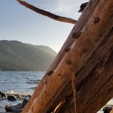 Review photo of Lake Wenatchee State Park Campground by Griffin C., June 22, 2019