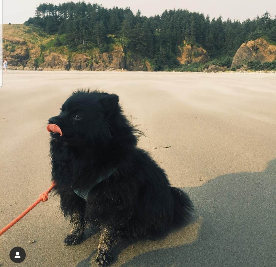 Camper-submitted photo at Cape Disappointment State Park Campground in Washington