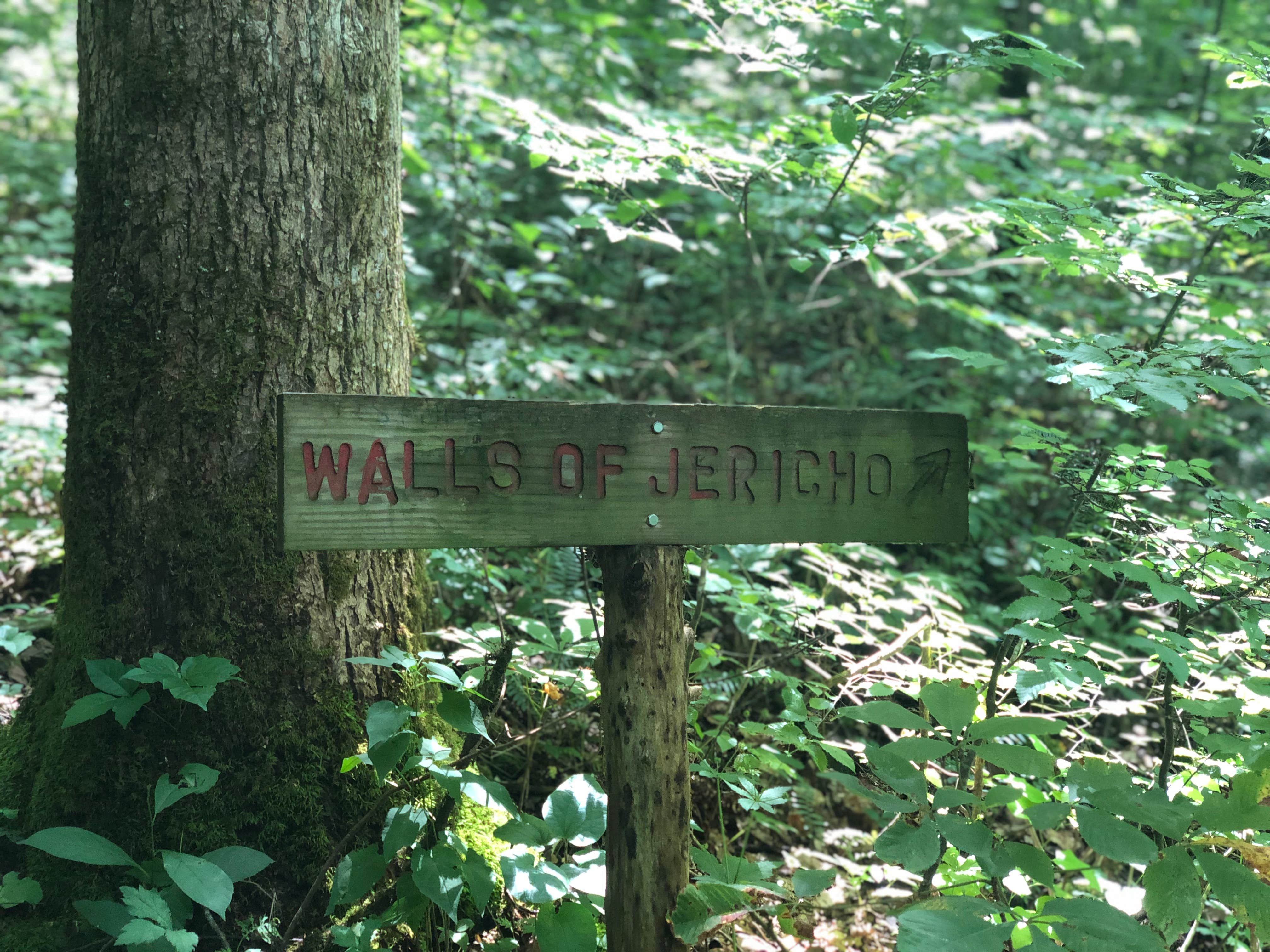 Camper-submitted photo at Walls of Jericho - Clark Cemetery Backcountry Campsite near Union Grove, AL