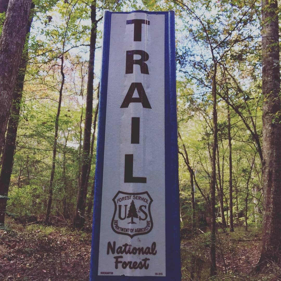 Camper-submitted photo at Cloud Crossing Complex near Winnfield, LA