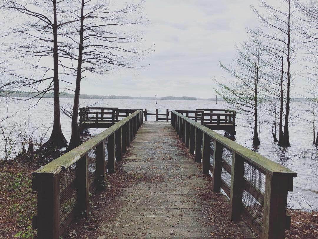 Camper submitted image from Corney Lake South Shore Campground - 3