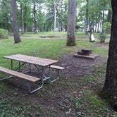 Review photo of Newtown Battlefield State Park Campground by מלאכי א., June 22, 2019