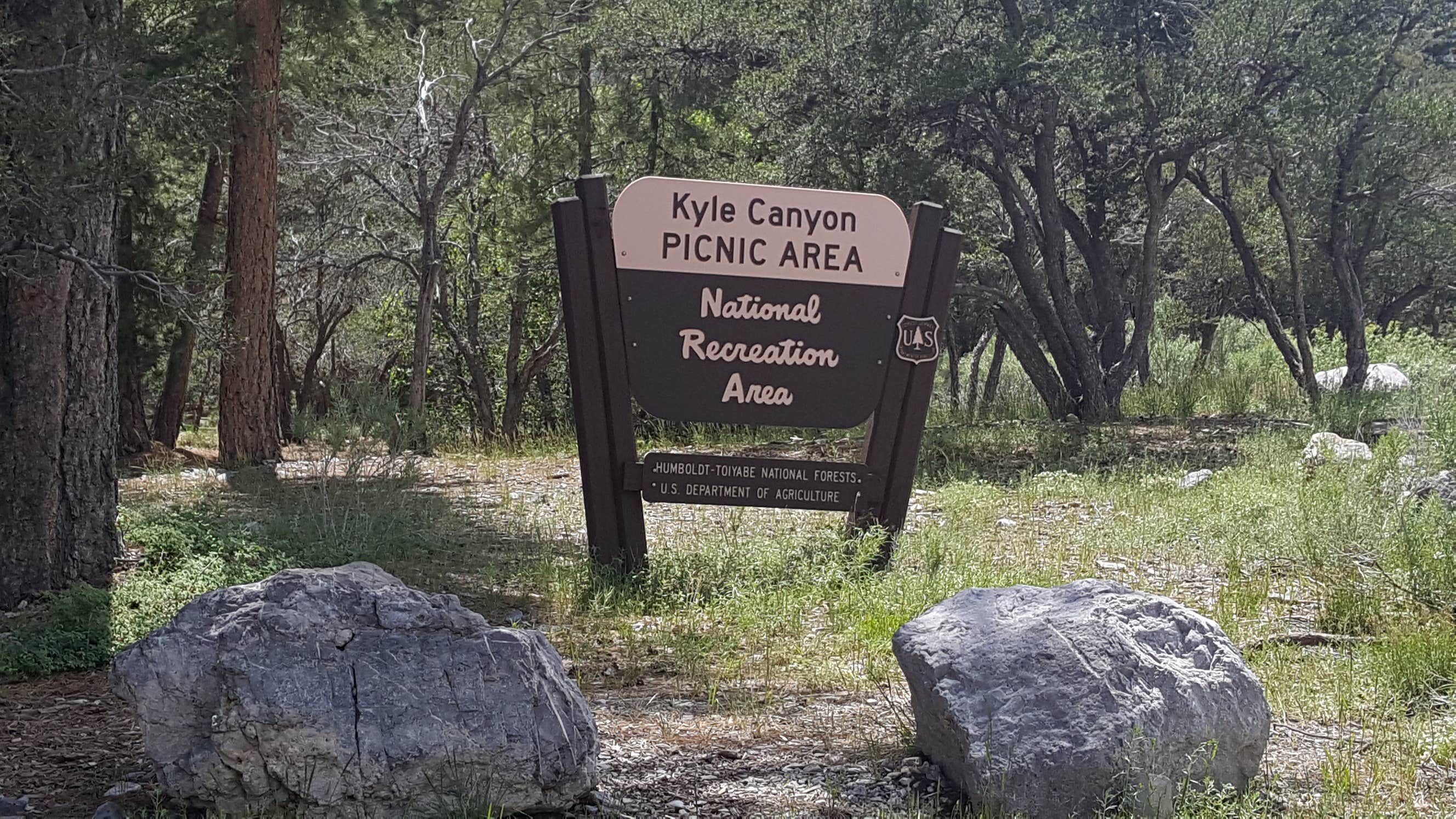 Camper submitted image from Kyle Canyon Campground (formerly Day Use only) - 2
