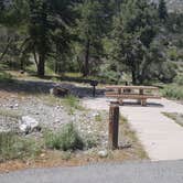 Review photo of Kyle Canyon Campground (formerly Day Use only) by Colette K., June 22, 2019