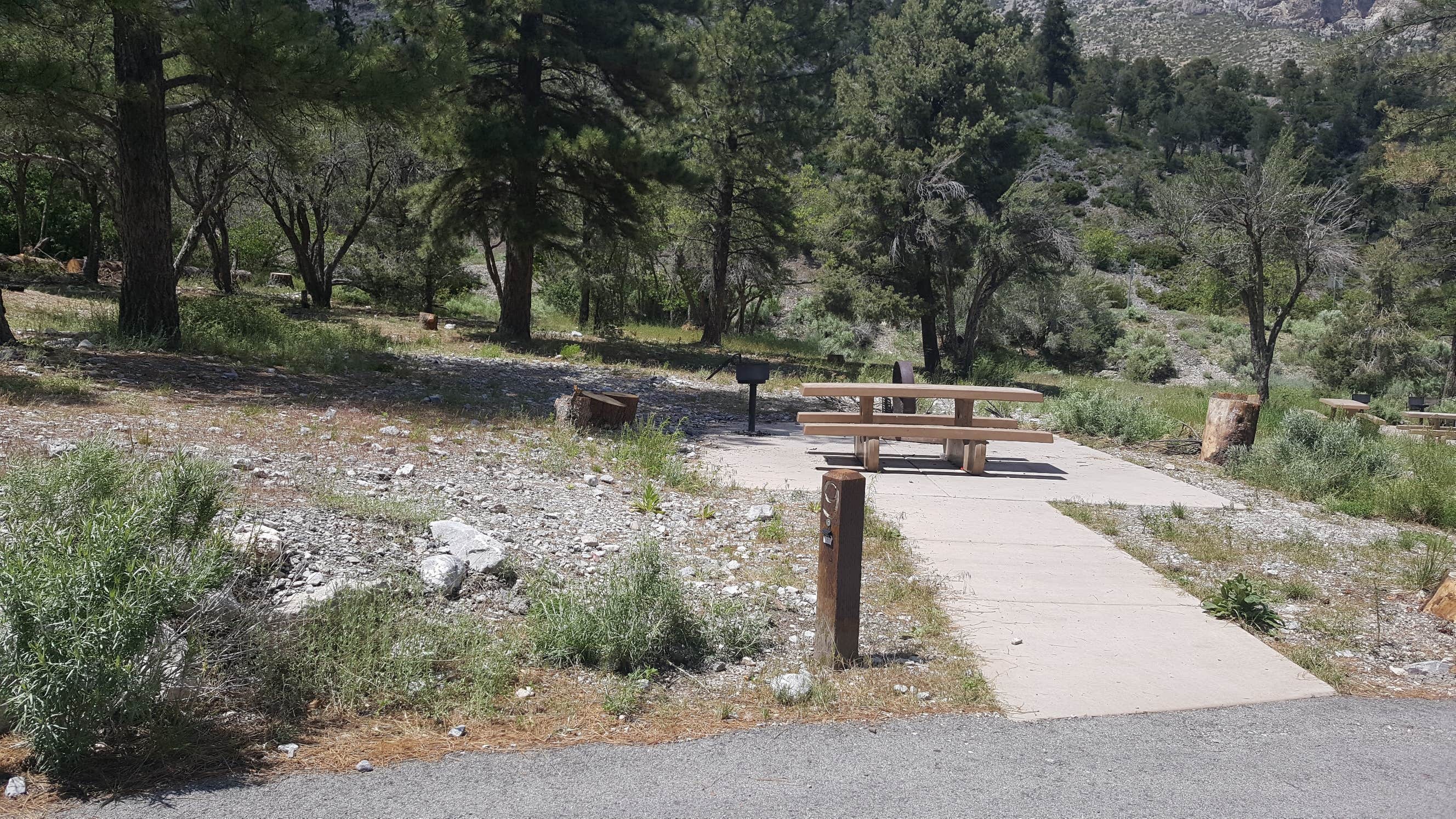 Camper submitted image from Kyle Canyon Campground (formerly Day Use only) - 4