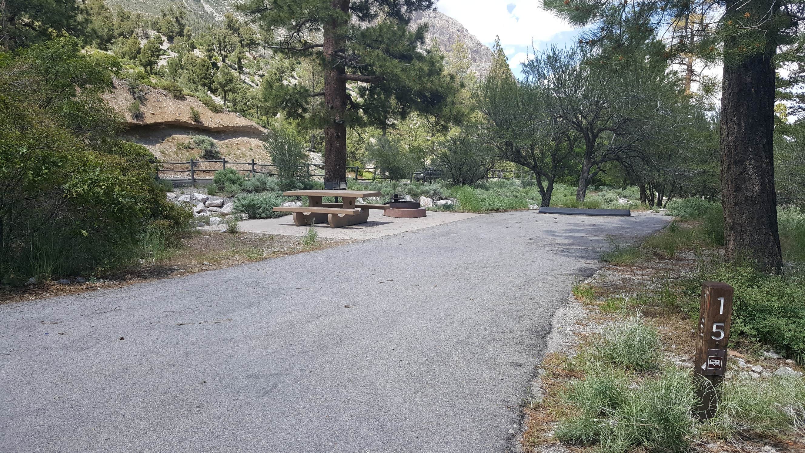 Escape to the Pines: Your Guide to Nevada's Kyle Canyon Campground