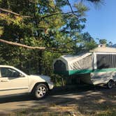 Review photo of Lupine/Cedar Bluff Campground by Kelly H., June 22, 2019