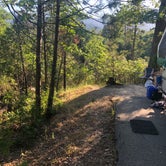 Review photo of Lupine/Cedar Bluff Campground by Kelly H., June 22, 2019