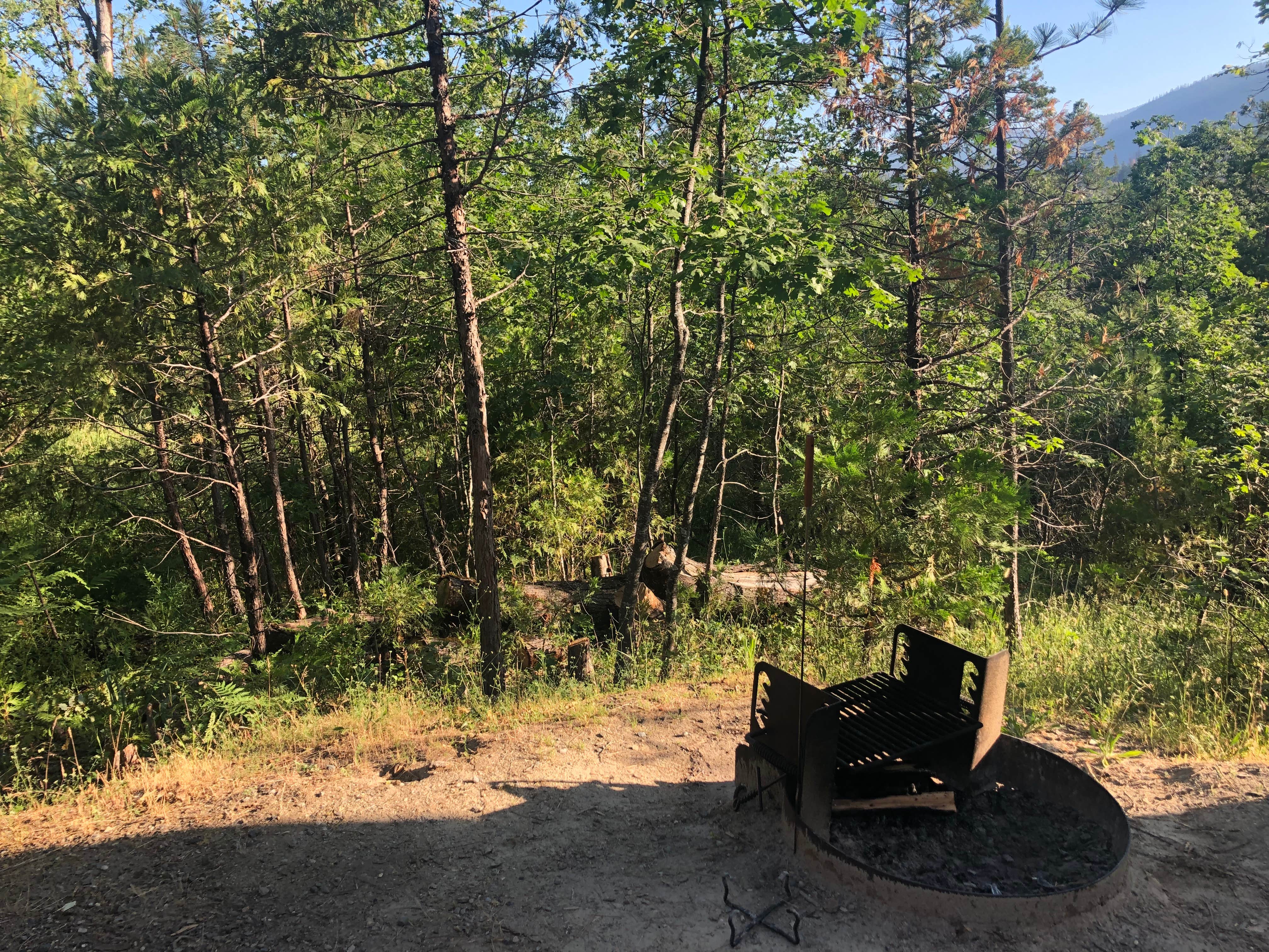 Camper-submitted photo at Lupine/Cedar Bluff Campground near Tollhouse, CA