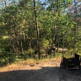 Review photo of Lupine/Cedar Bluff Campground by Kelly H., June 22, 2019