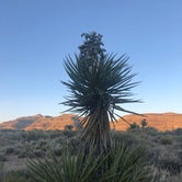 Review photo of Hole in the Wall Campground — Mojave National Preserve by Kelly H., June 22, 2019