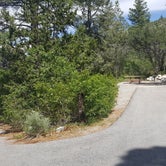 Review photo of Kyle Canyon Campground (formerly Day Use only) by Colette K., June 22, 2019