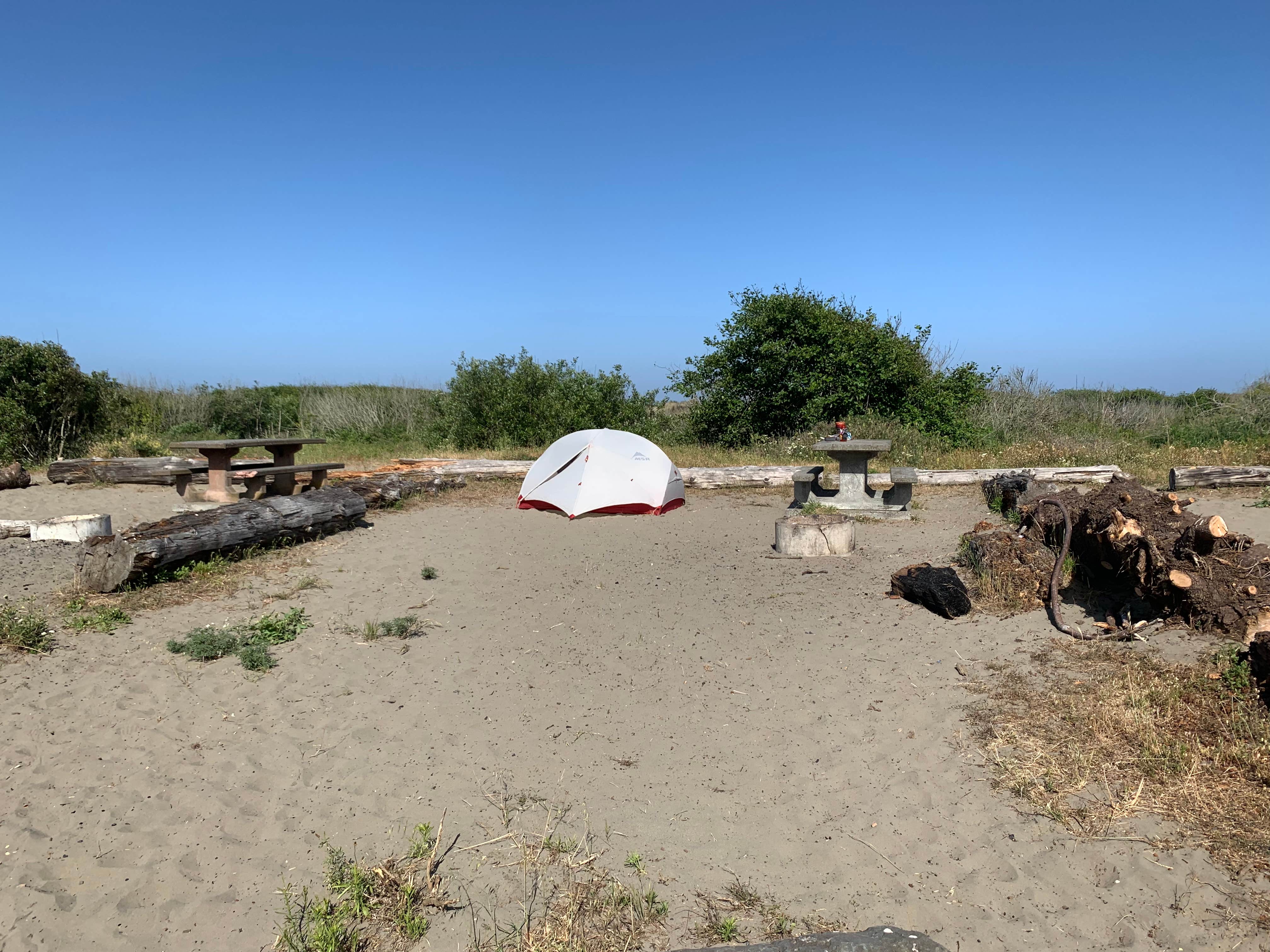 Camper submitted image from Clam Beach County Park - 2