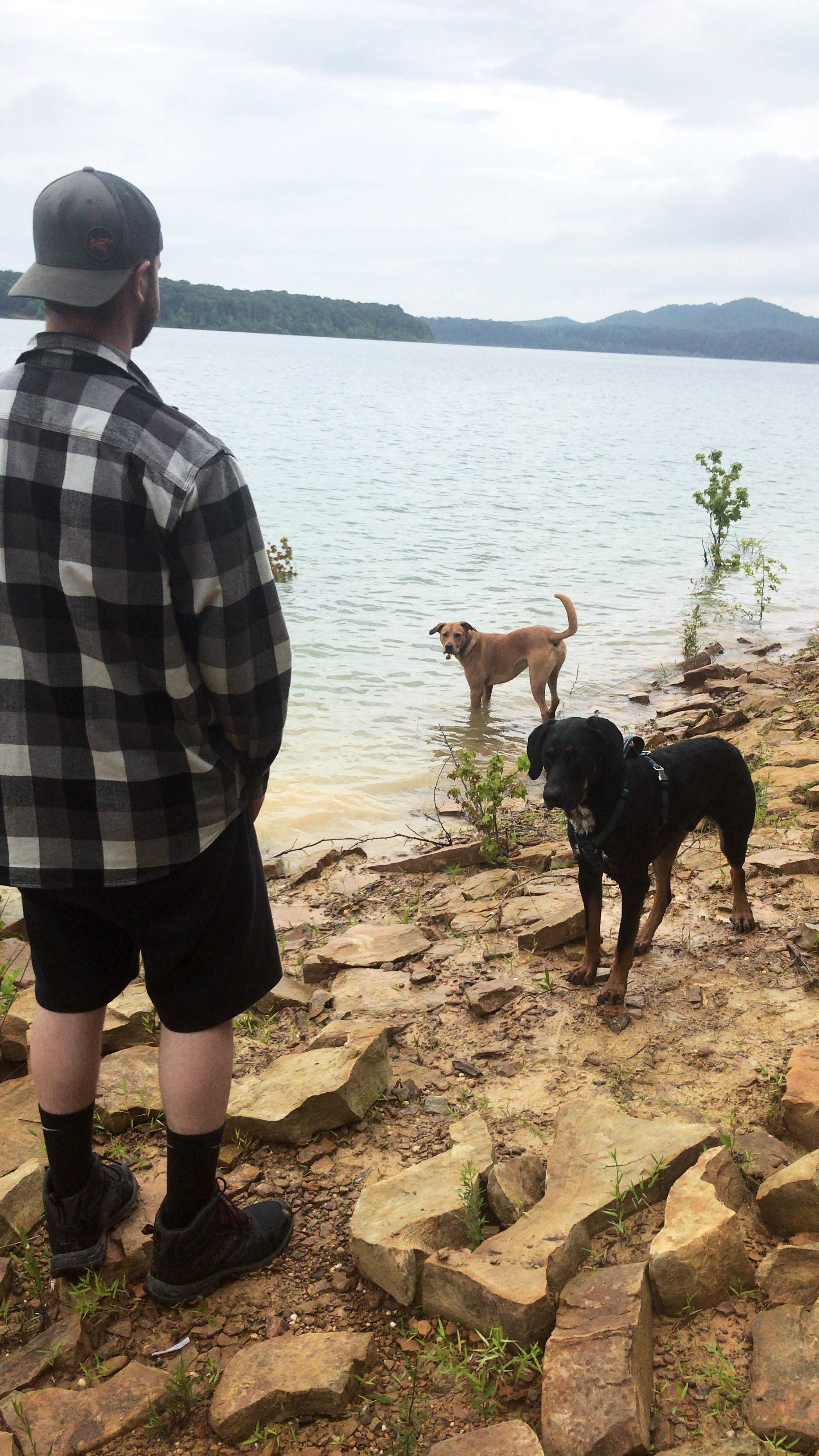 Dylane S.'s photo of camping with pets at Twin Knobs Recreation Area in Kentucky