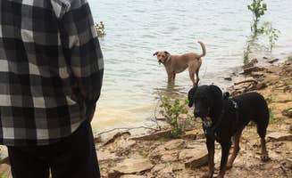 Dylane S.'s photo of camping with pets at Twin Knobs Recreation Area near Denniston, KY
