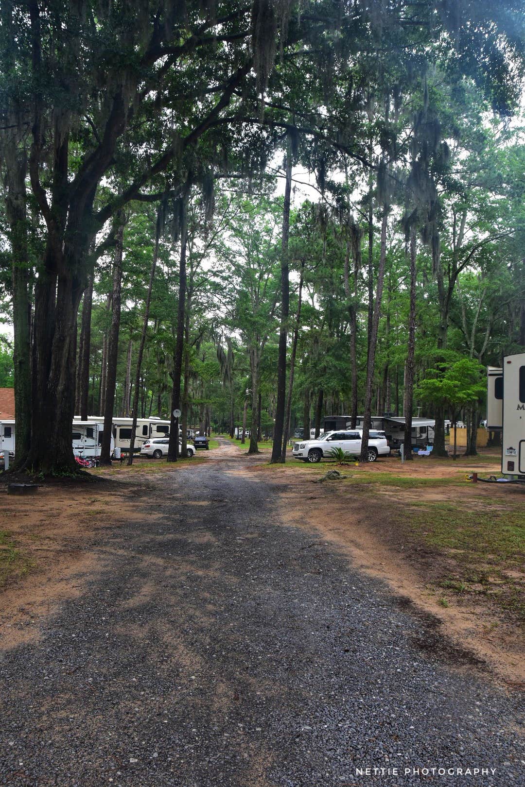 Camper submitted image from Santee Lakes KOA - 4
