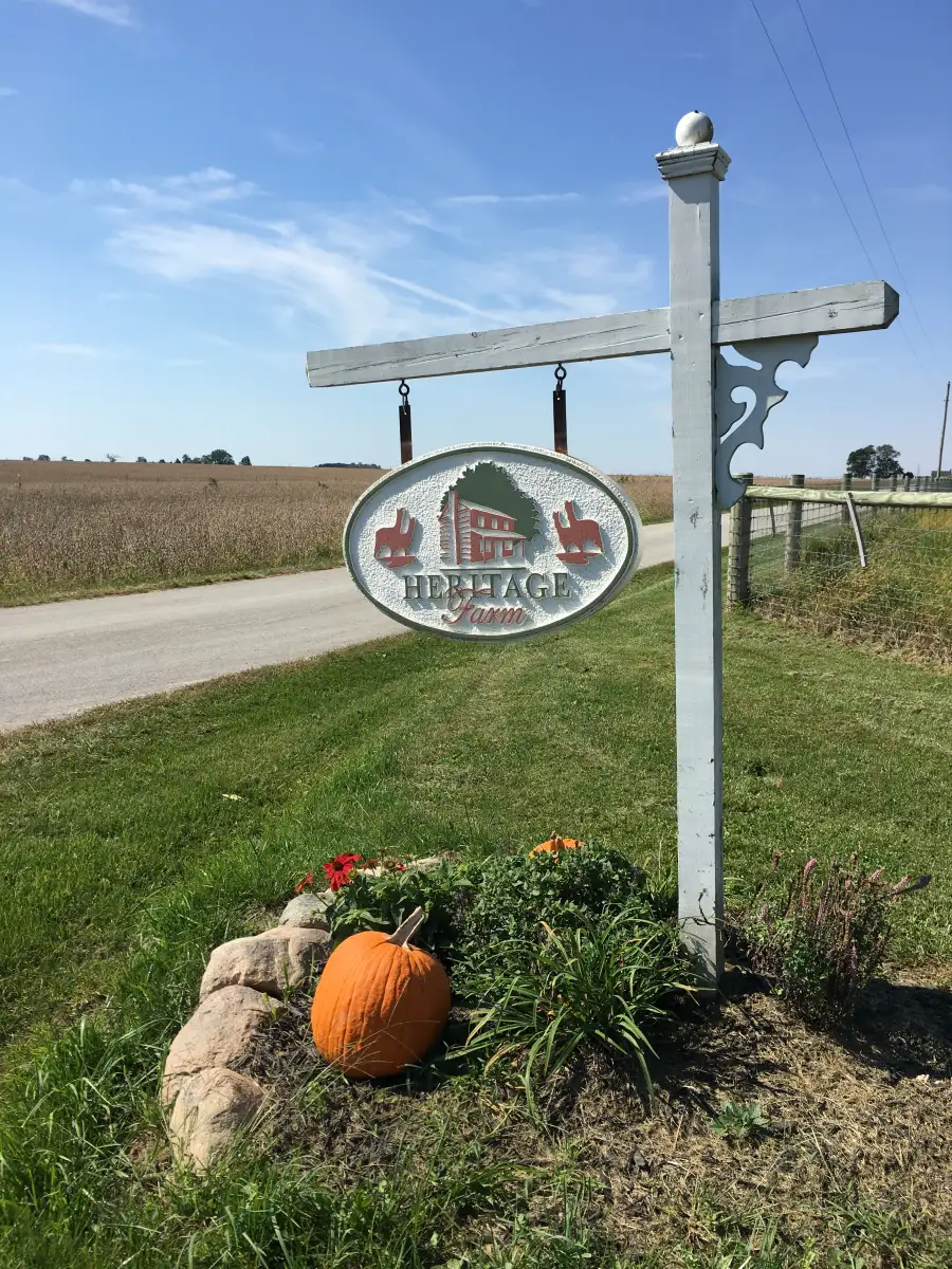 Heritage Farm Alpaca Experience