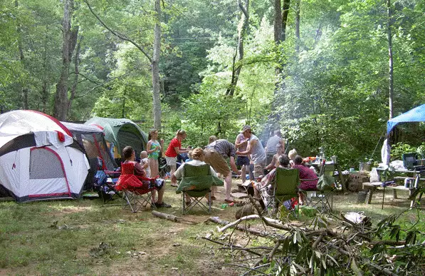 Tim S.'s photo at Heritage Farm Alpaca Experience near Yeoman, IN