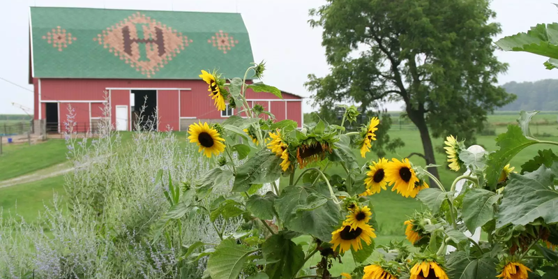 Camper submitted image from Heritage Farm Alpaca Experience