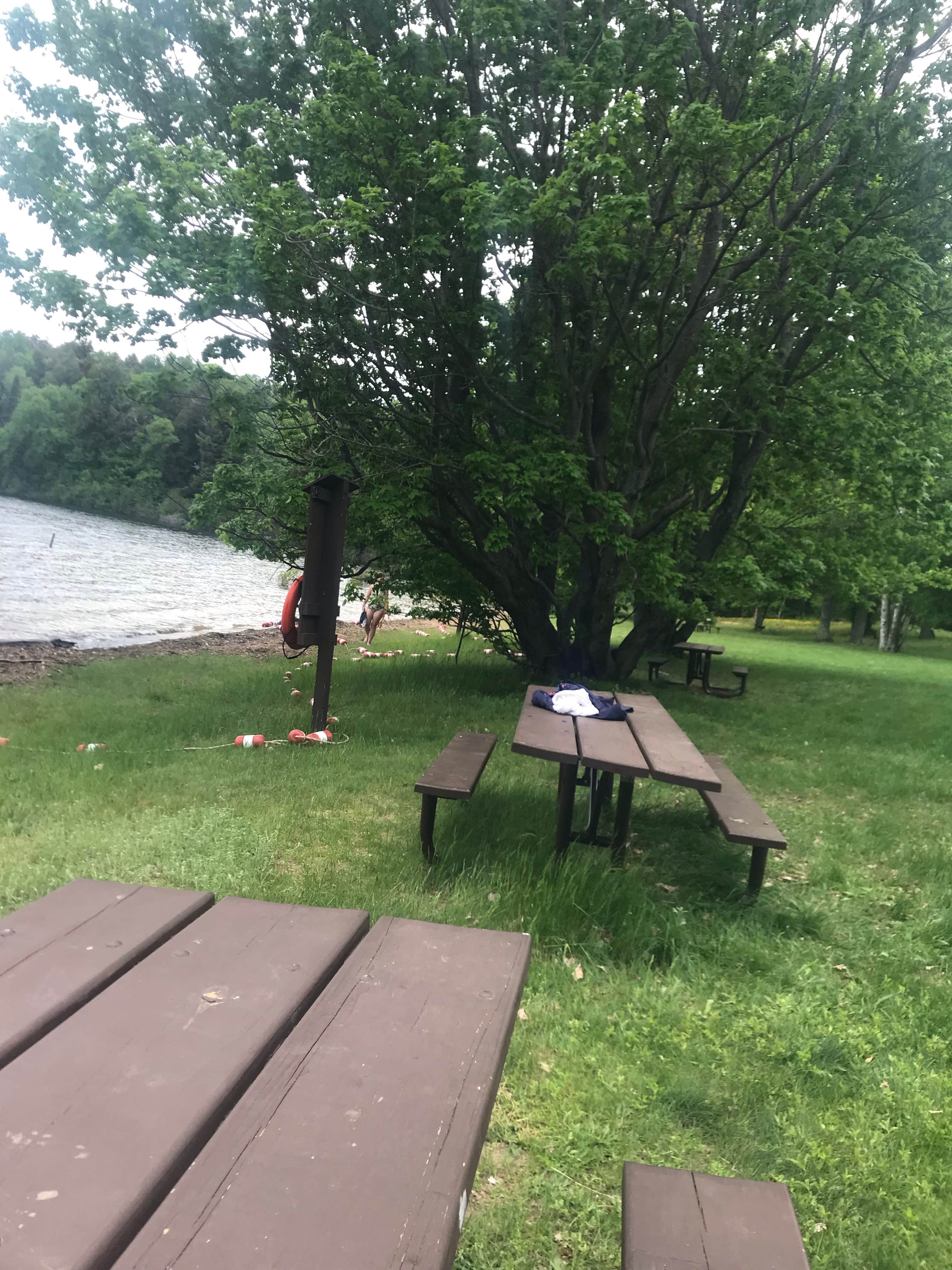 Camper submitted image from Sylvania (clark Lake) Campground - 4
