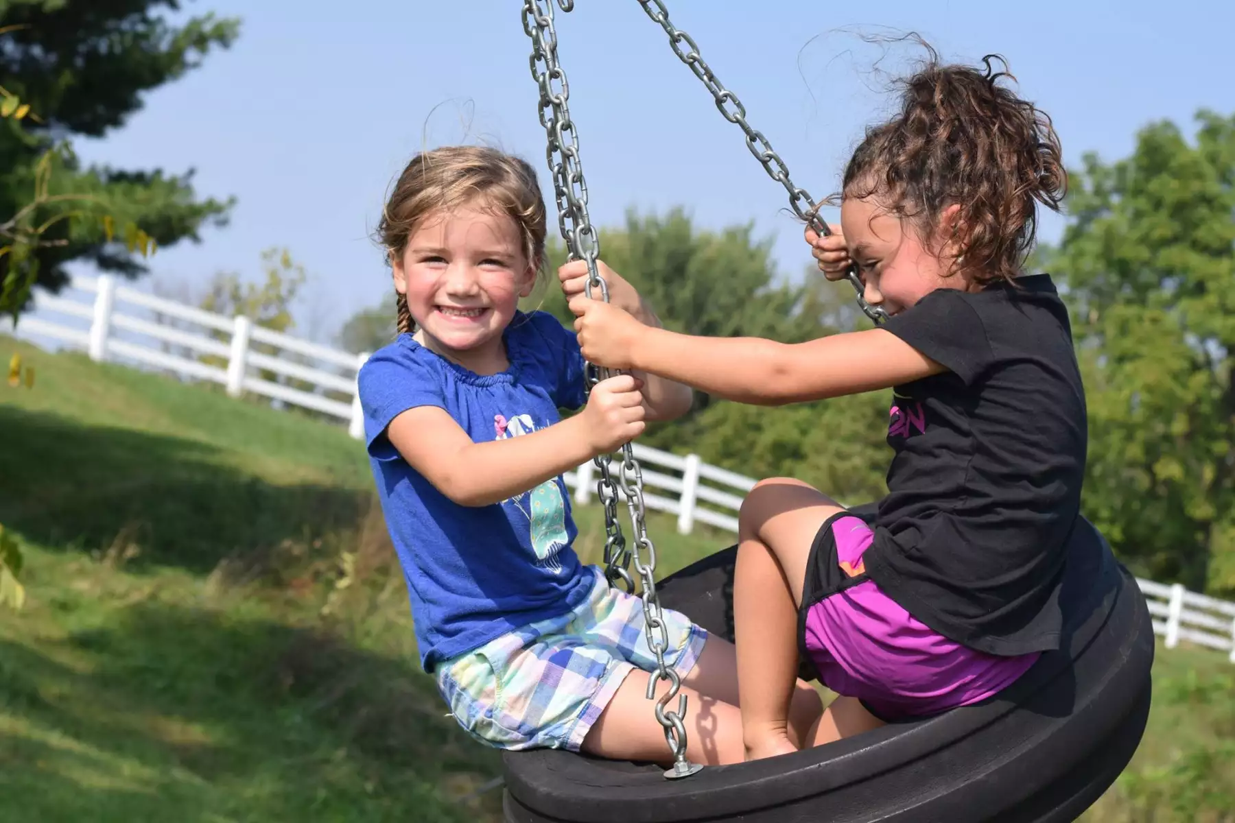 Camper-submitted photo at Heritage Farm Alpaca Experience near Greentown, IN