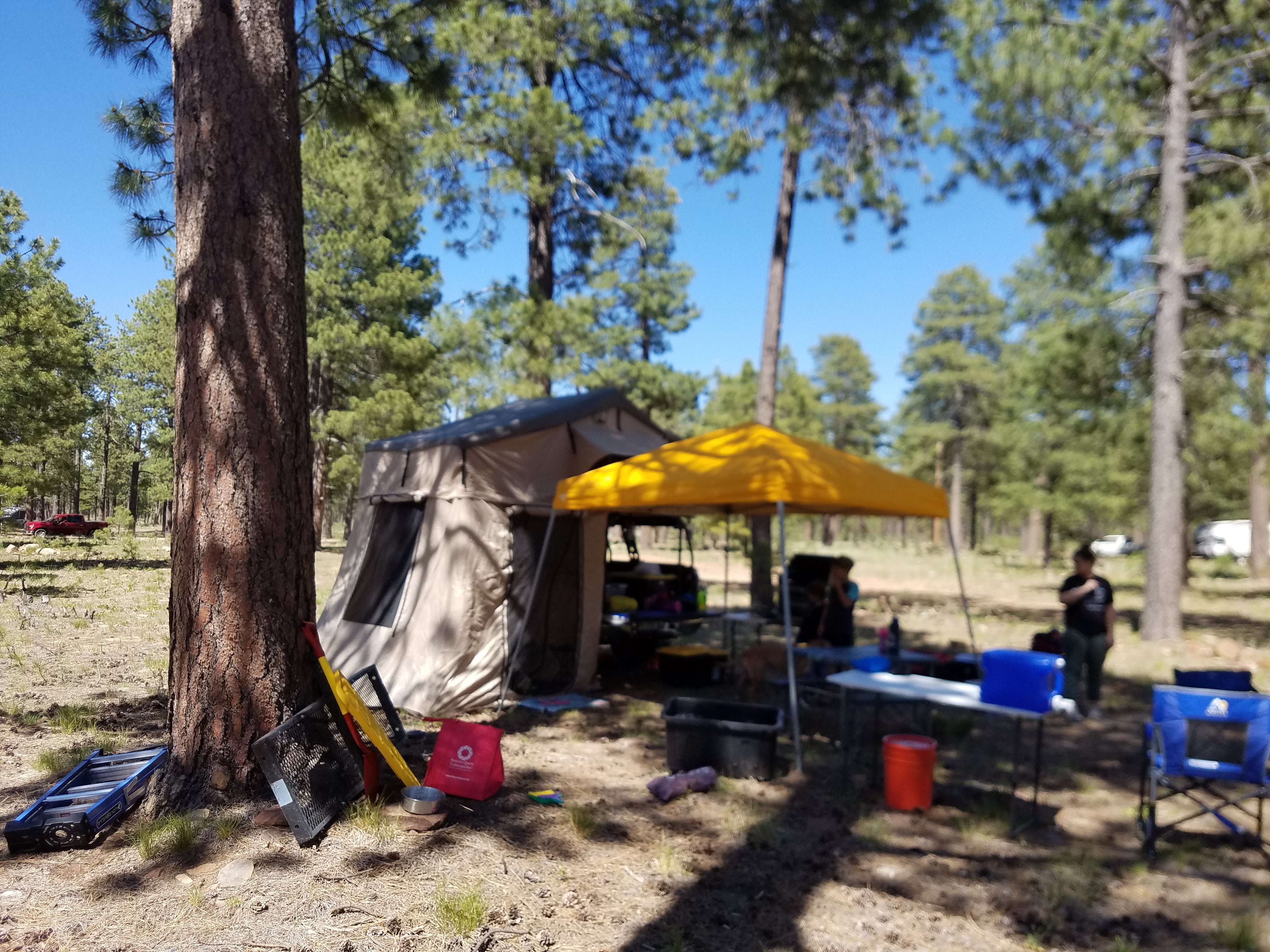 Camper submitted image from Fr 171 Campground - 5