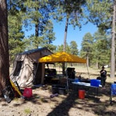 Review photo of Fr 171 Campground by Jason T., June 22, 2019