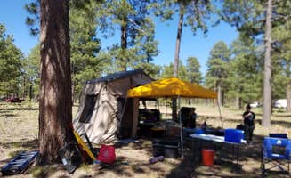 Jason T.'s photo at Fr 171 Campground near Young, AZ