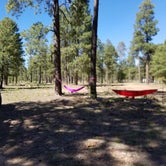 Review photo of Fr 171 Campground by Jason T., June 22, 2019
