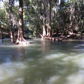 Review photo of Castroville Regional Park by Shelly S., September 1, 2016