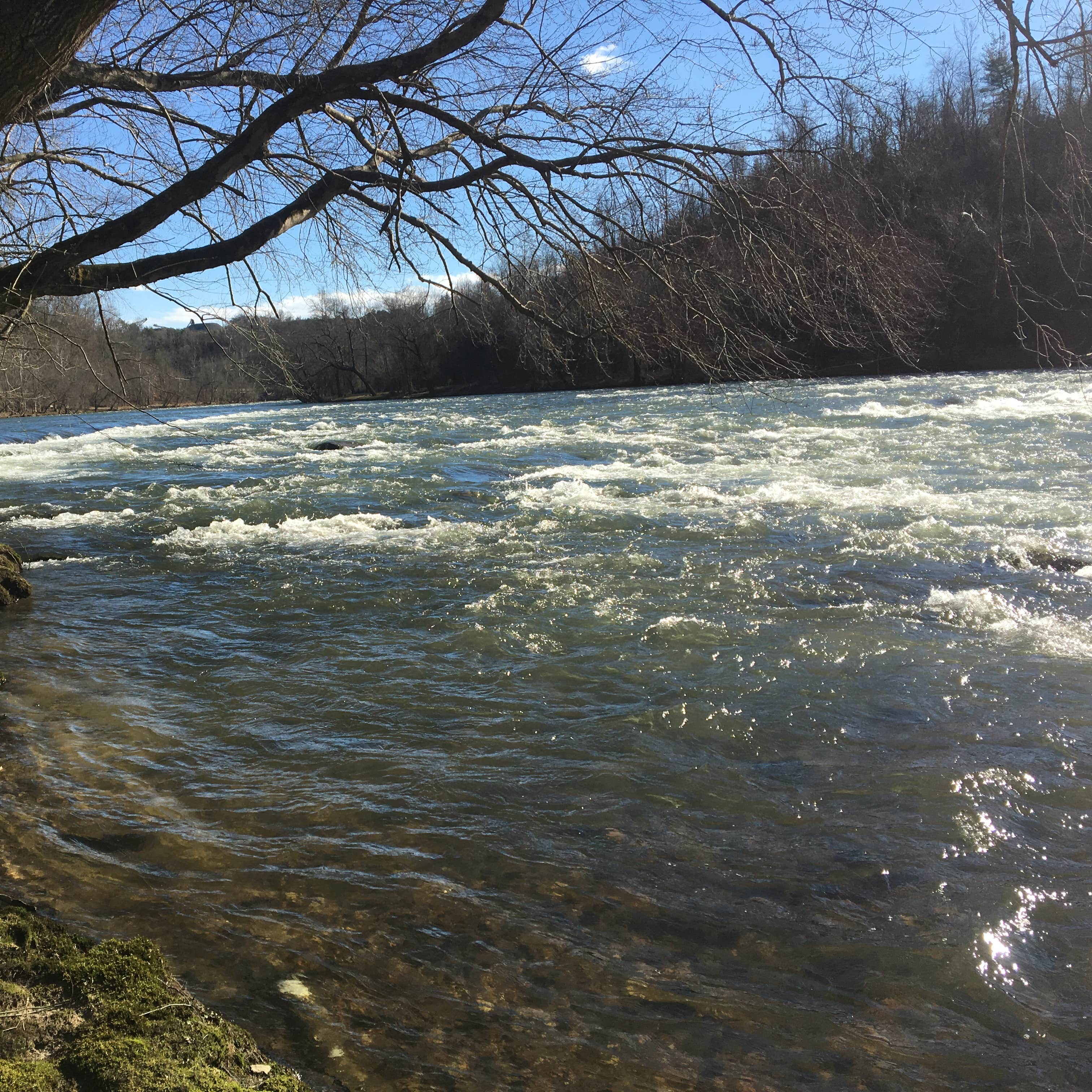 Camp Driftwood Asheville Camping The Dyrt