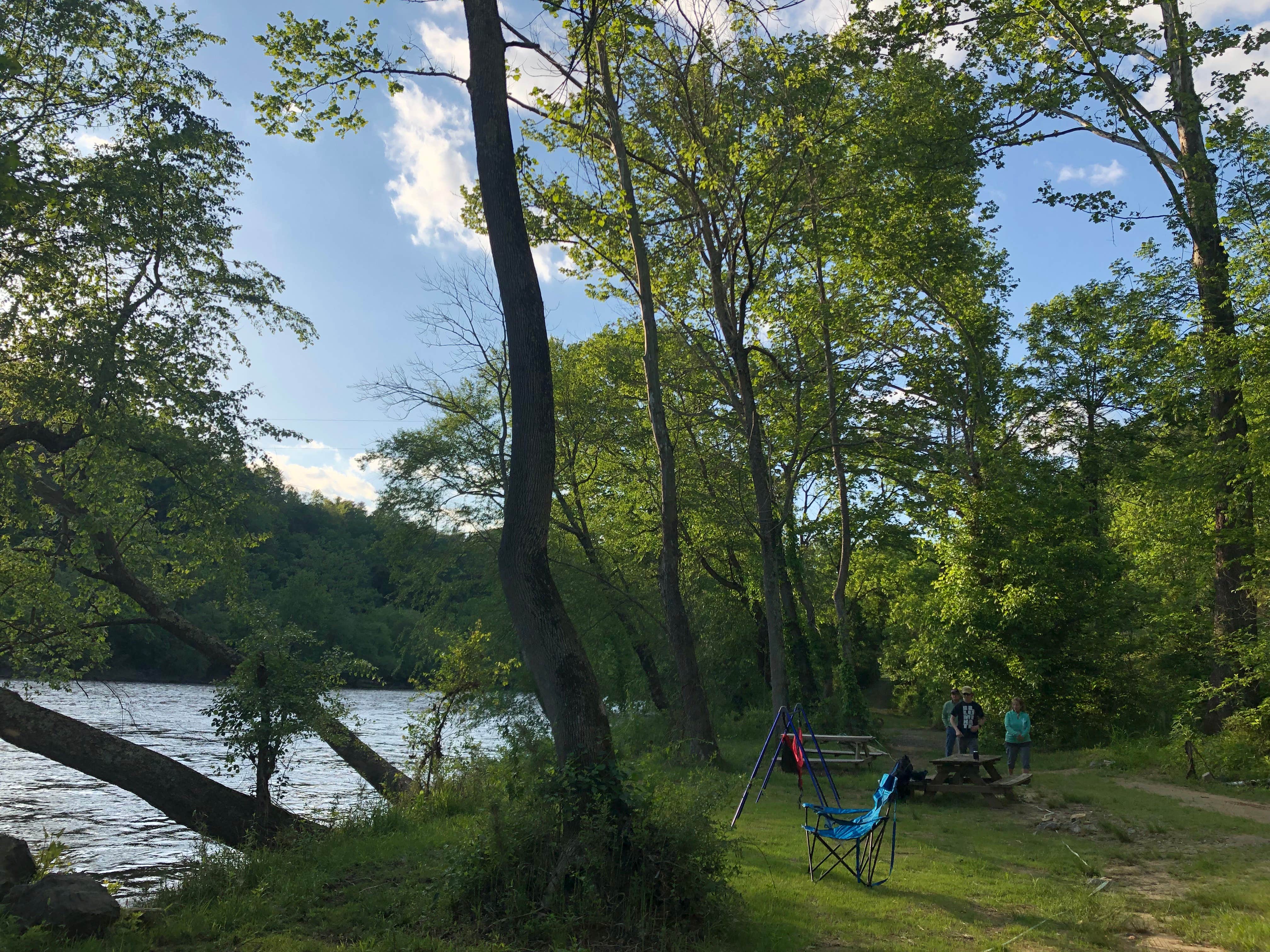 Camper-submitted photo at Camp Driftwood Asheville near Barnardsville, NC