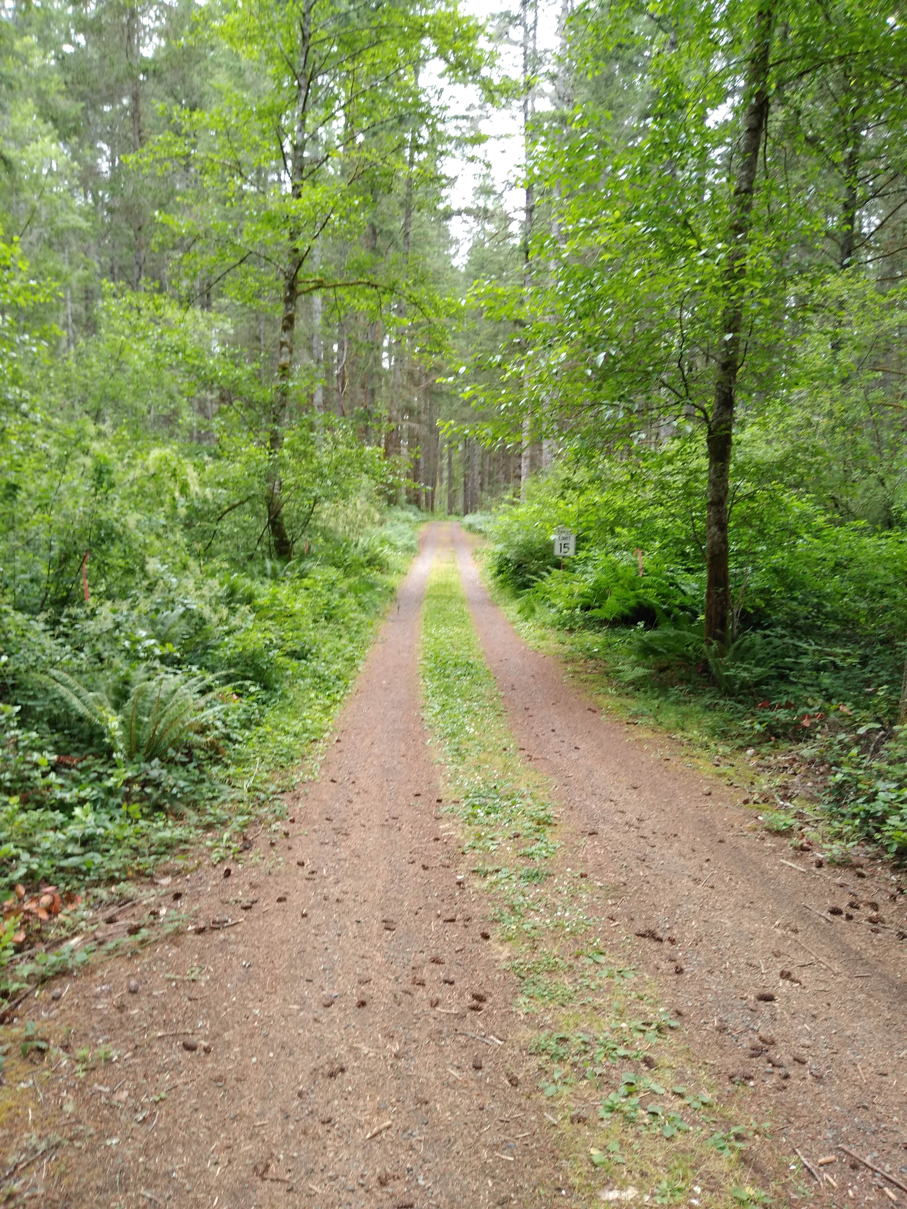 Camper submitted image from Camp Calvinwood - PERMANENTLY CLOSED - 3