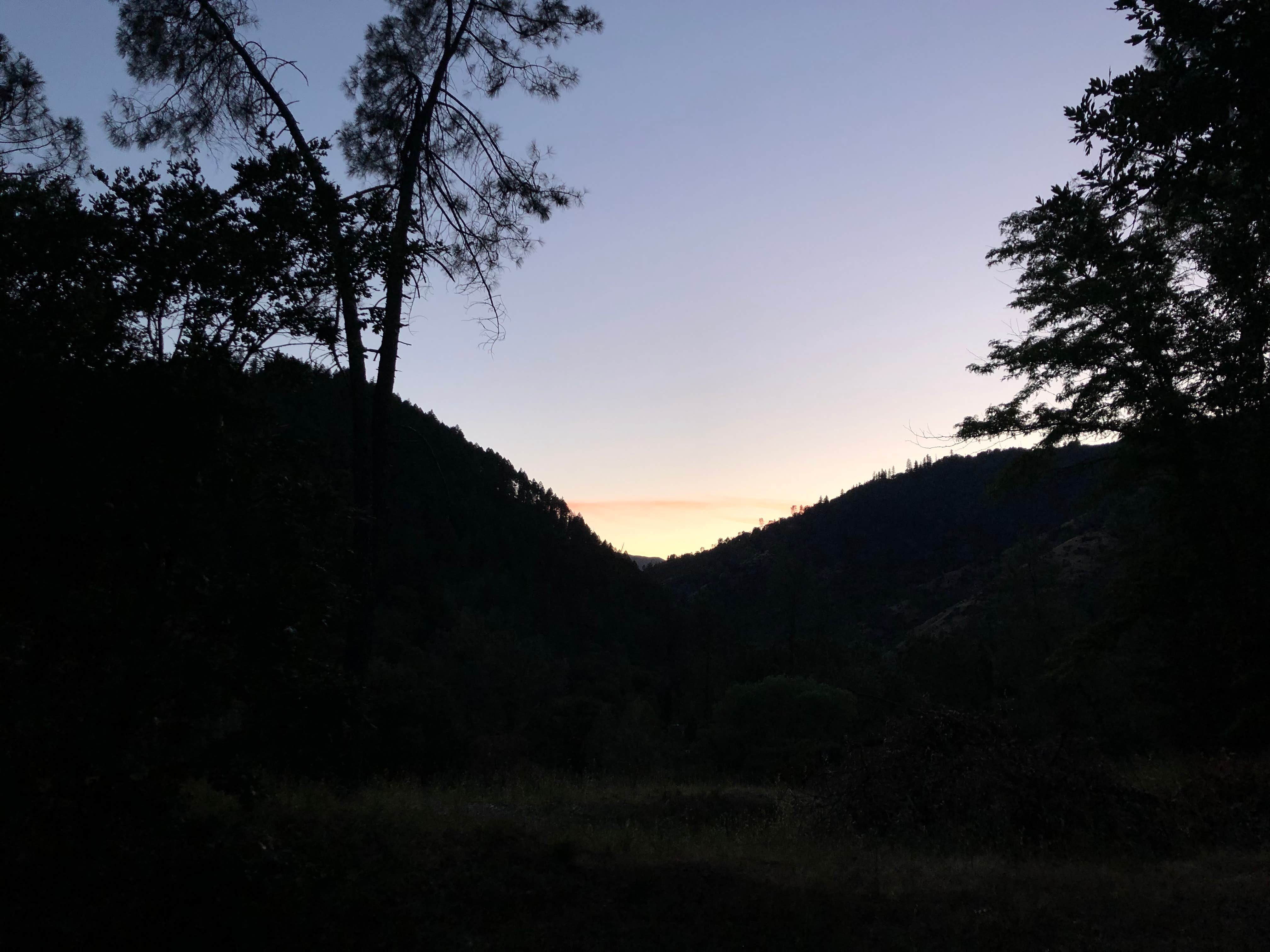 Nature