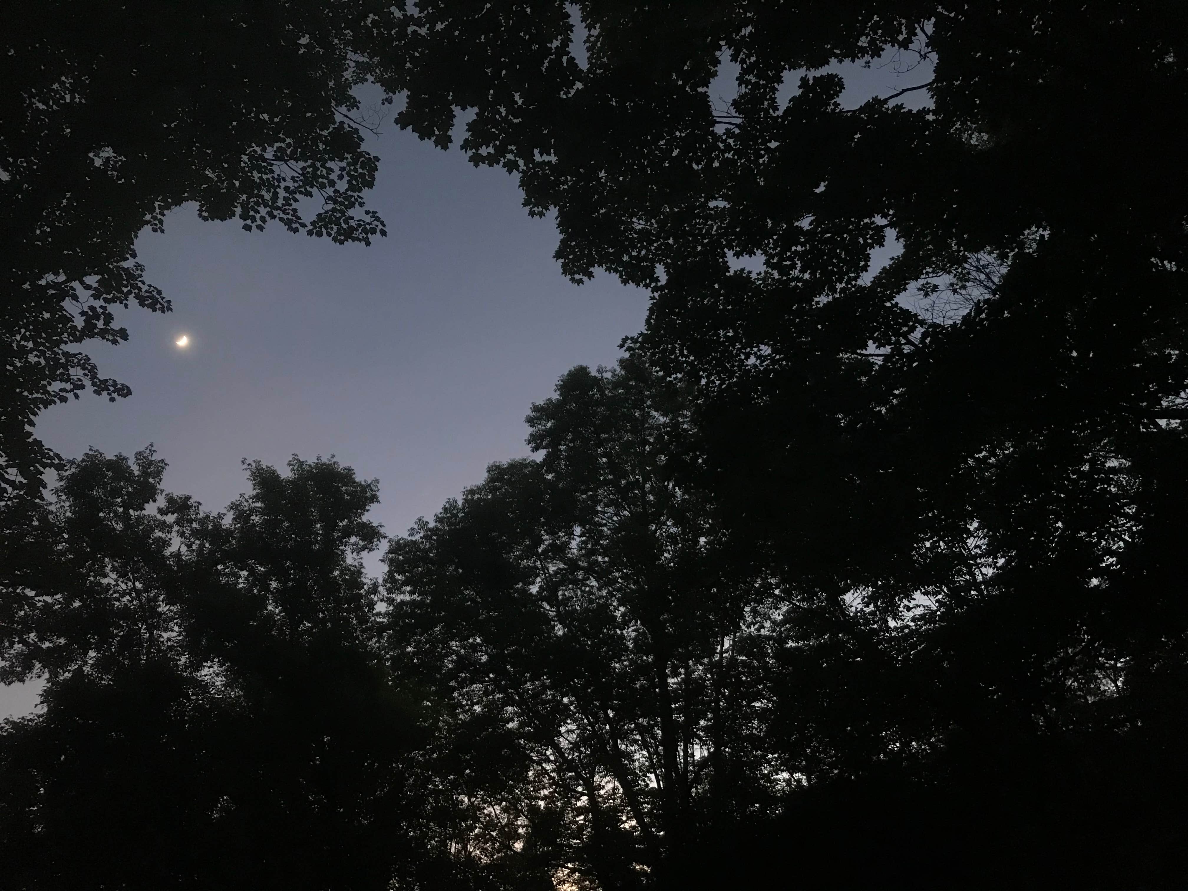 Camper-submitted photo at Ferenbaugh Campground near Addison, NY