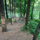 Review photo of Red Top Mountain State Park Campground by Nick C., June 23, 2019