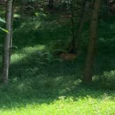 Review photo of Red Top Mountain State Park Campground by Nick C., June 23, 2019
