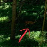 Review photo of Red Top Mountain State Park Campground by Nick C., June 23, 2019