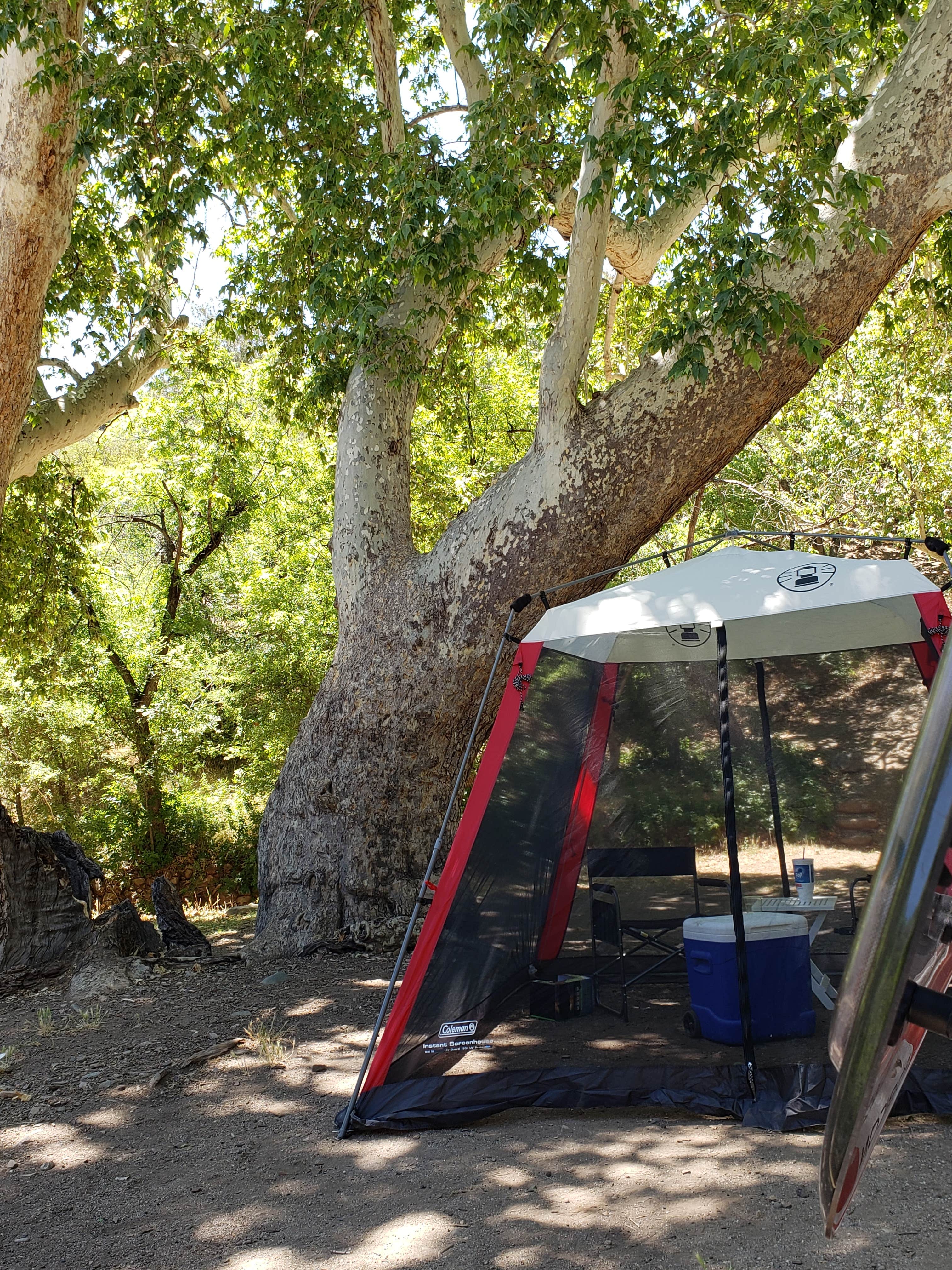 Camper-submitted photo at Peppersauce Campground near San Manuel, AZ