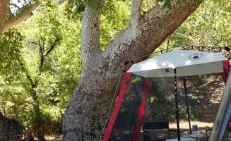 Michael L.'s photo at Peppersauce Campground near Oro Valley, AZ
