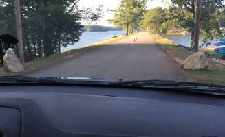 Diana H.'s photo of camping with pets at South Cove County Park near Hartwell Lake