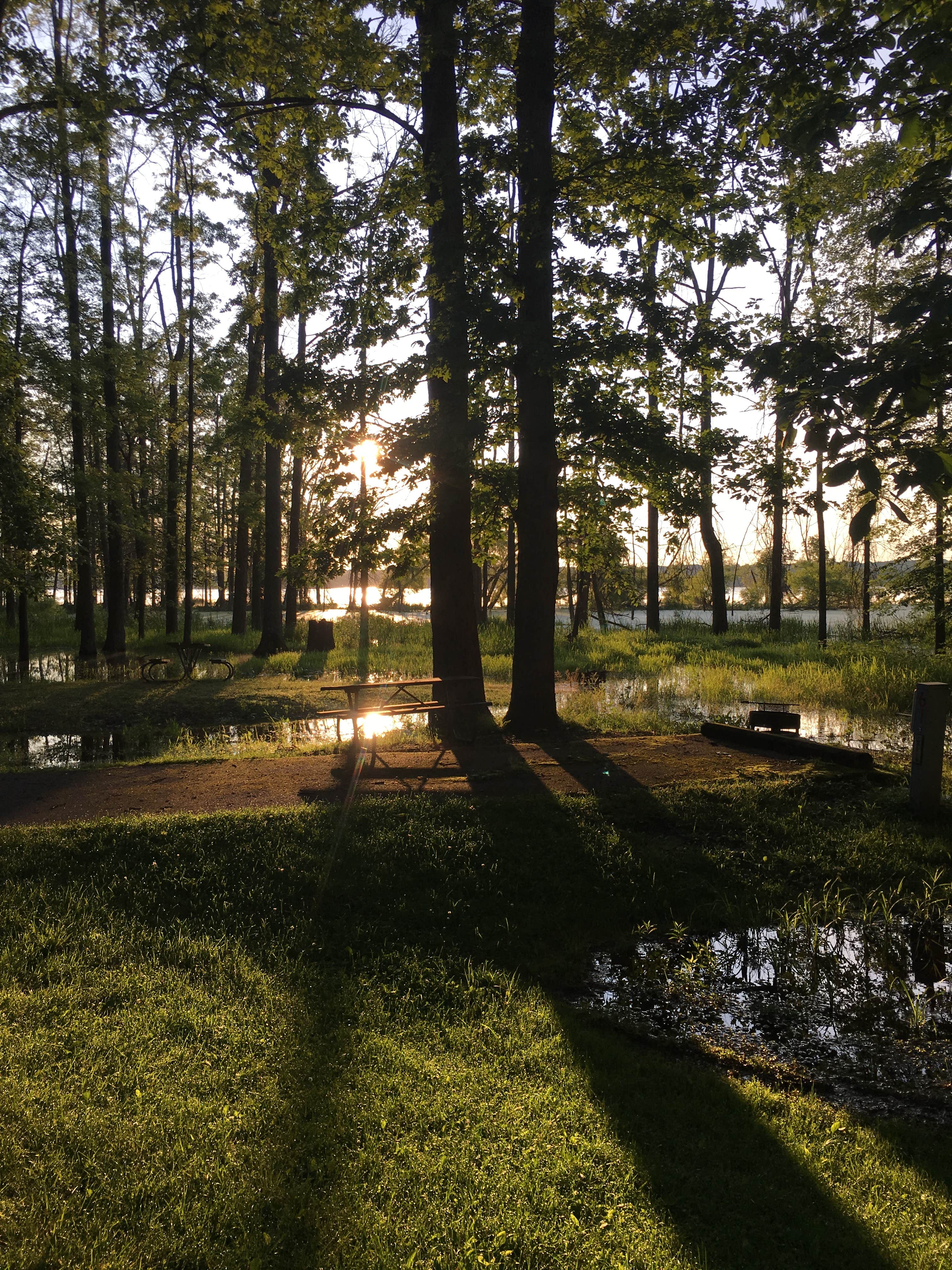 Camper submitted image from Mosquito Lake State Park Campground - 2