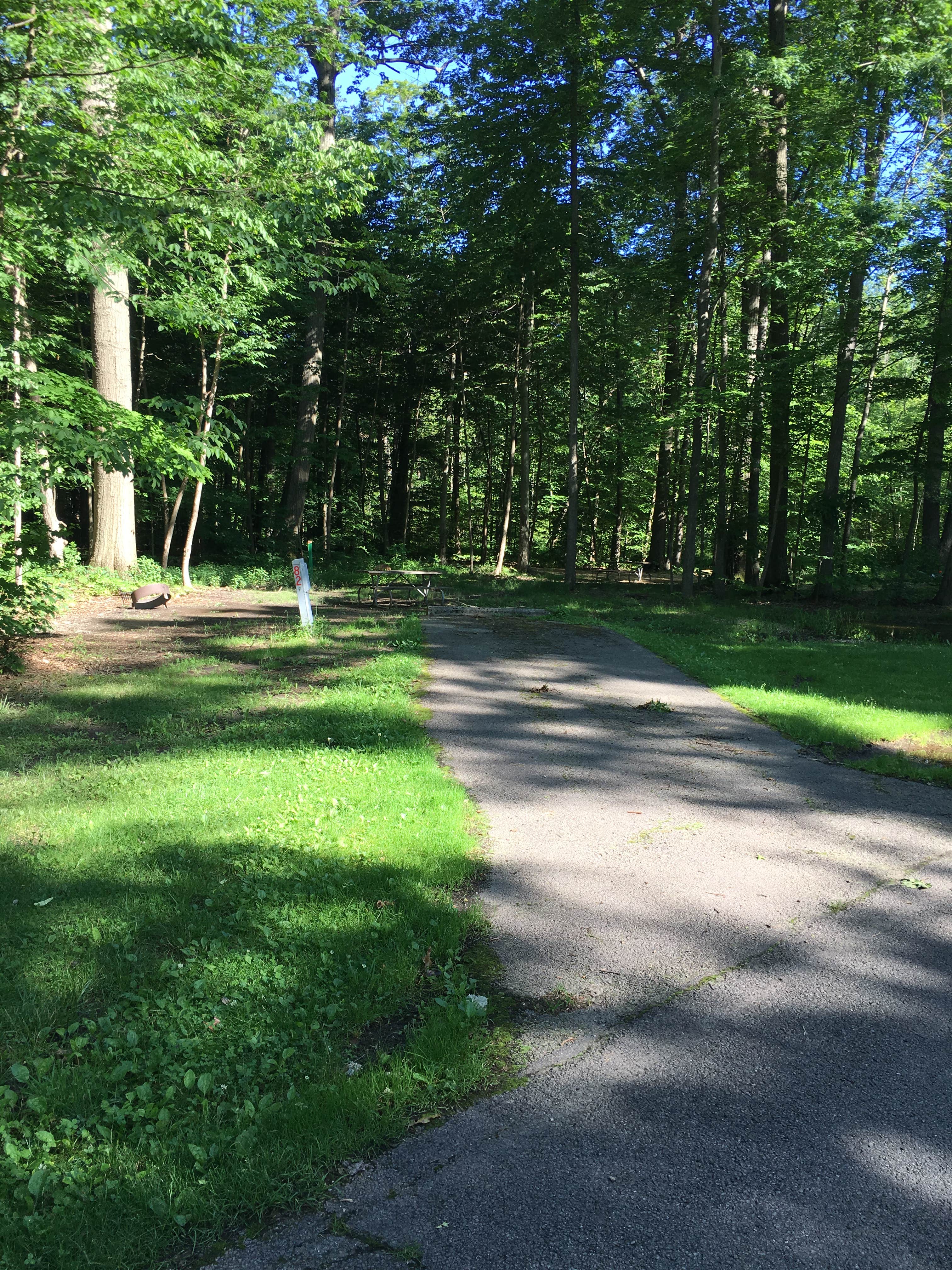 Camper submitted image from Mosquito Lake State Park Campground - 4