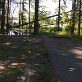 Review photo of Mosquito Lake State Park Campground by Samantha  J., June 23, 2019